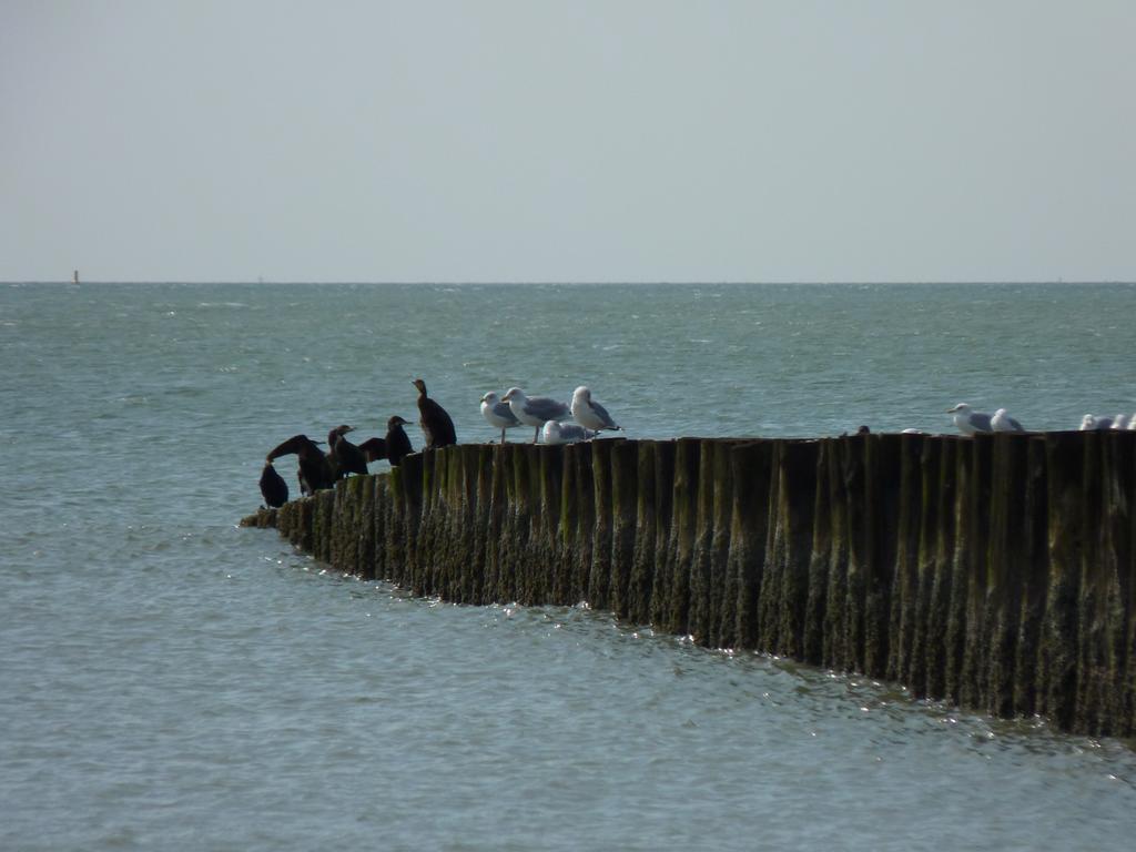 Even Buiten 2* Burgh-Haamstede